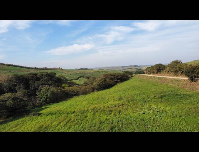 2HA VACANT LAND FOR SALE IN FAIRVIEW ESTATES